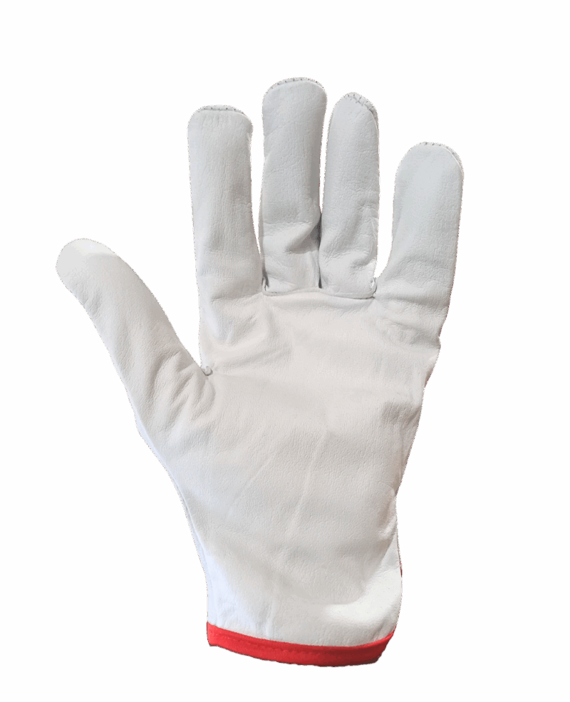 GANT MAITRISE IVOIRE SAFETY AMS-1215 EN CUIR SOUPLE FLEUR DE BUFFLE – Image 2