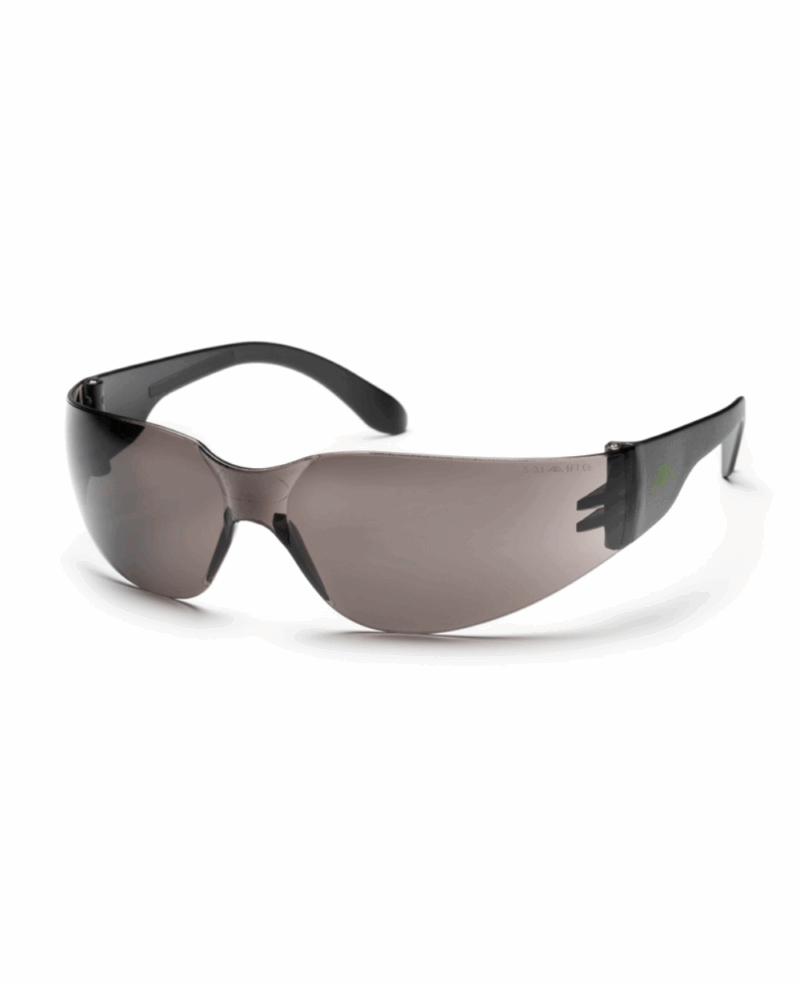 LUNETTE DE SECURITE ACTIVE VISION V116, OCULAIRE TEINTÉE ANTI-RAYURE/ANTI-BUEE